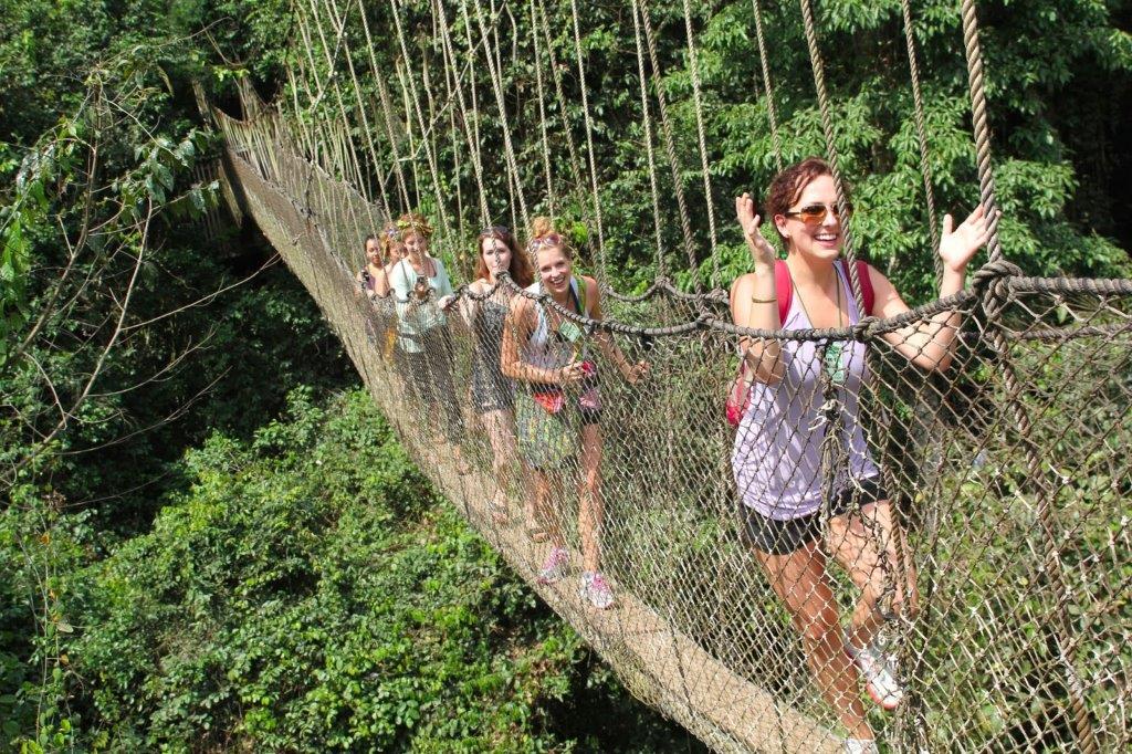 Treetop Walkway